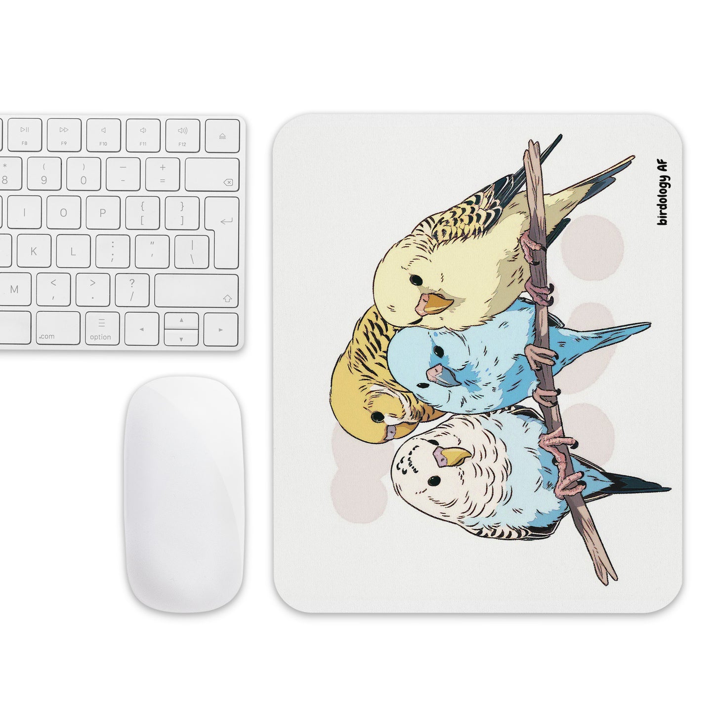 Parakeet Budgies Birds Mouse pad